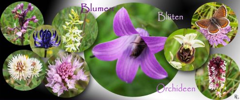 Gestaltung: Renate Giers